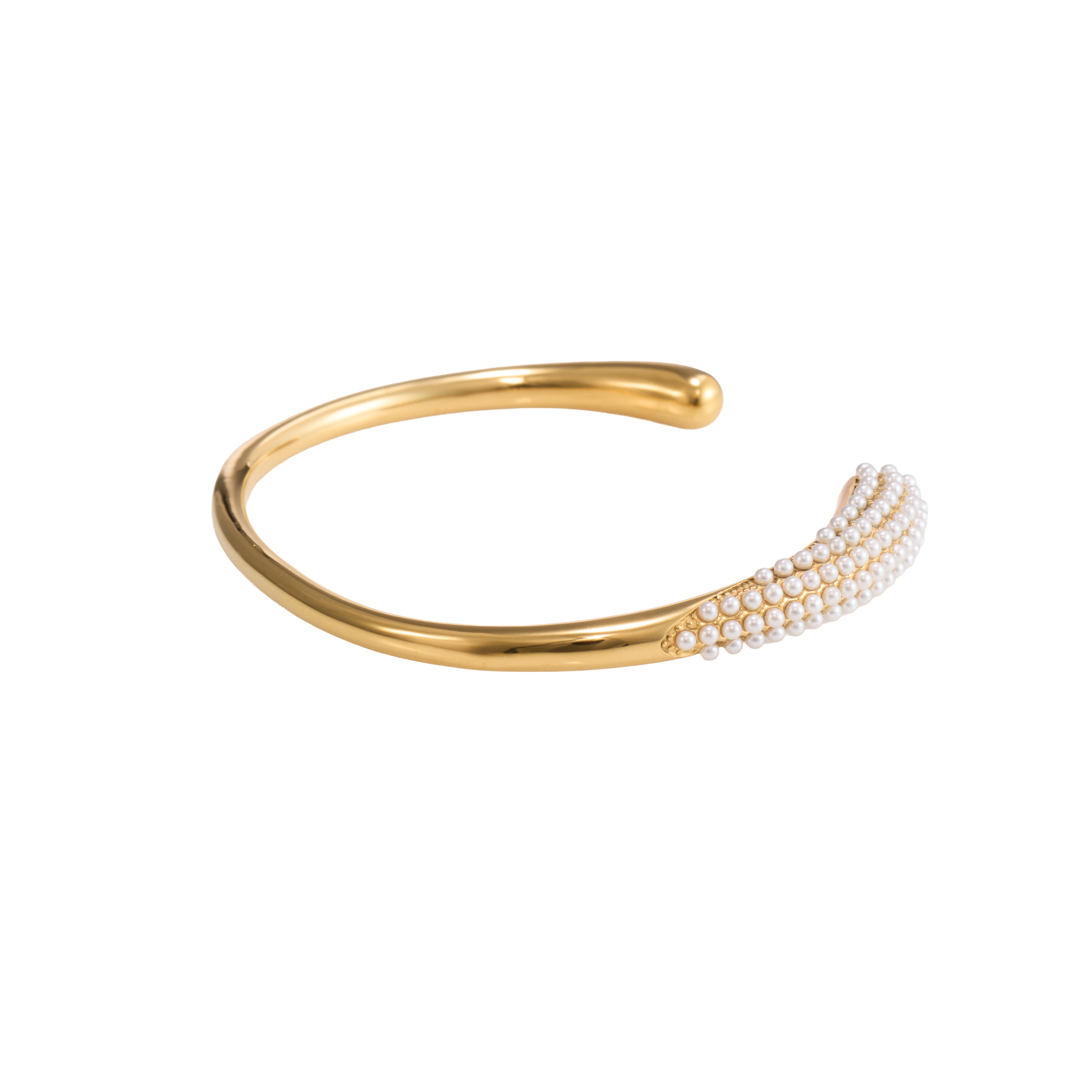 Crystal Circle Luxe Bangle