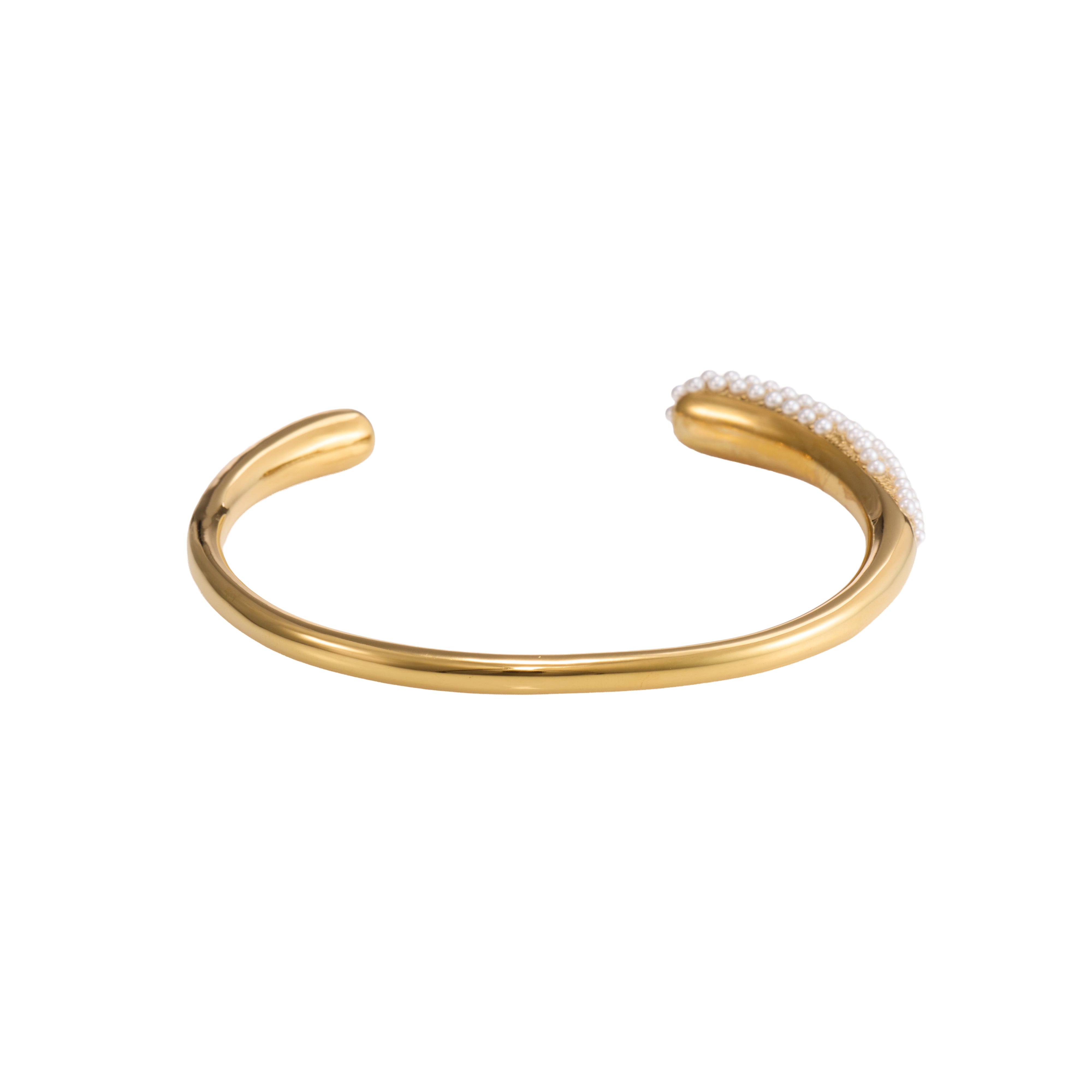 Crystal Circle Luxe Bangle