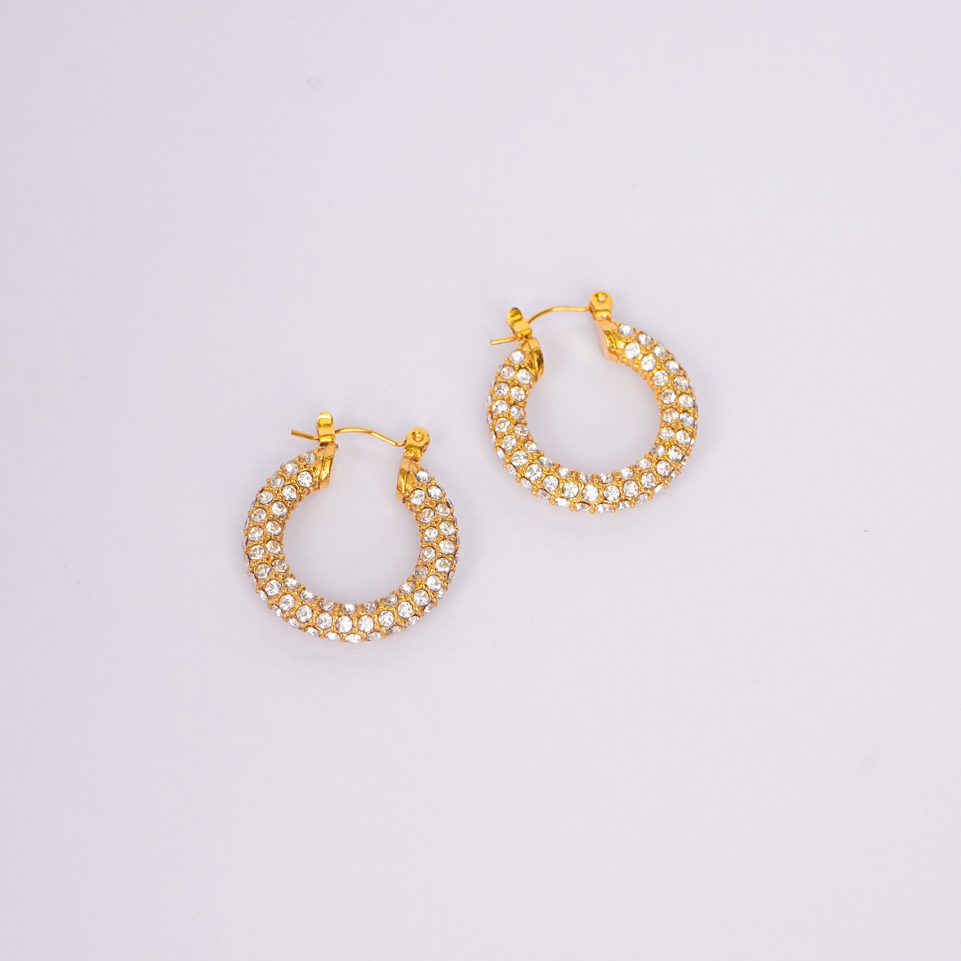Luxe Elegant Stud Earrings