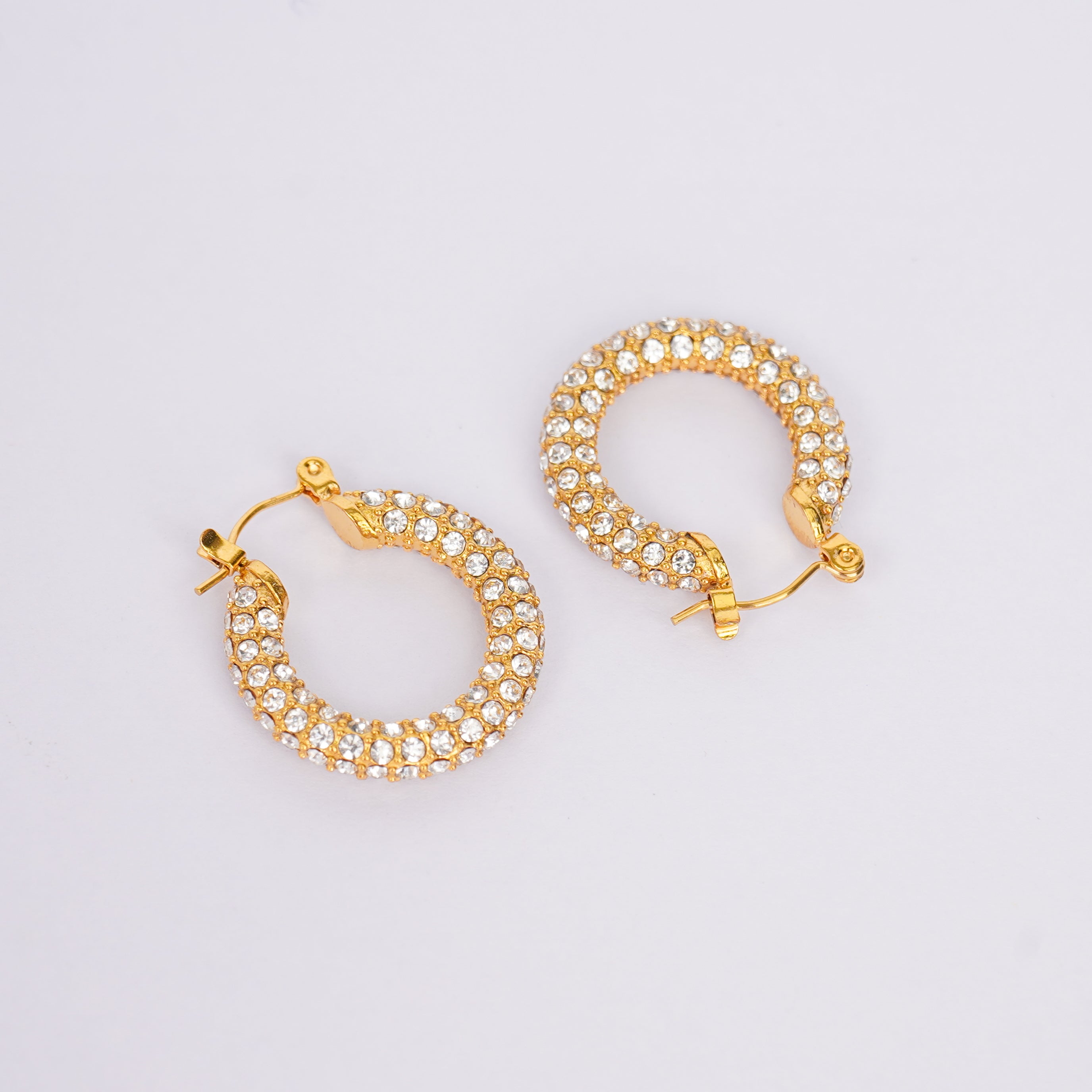 Luxe Elegant Stud Earrings