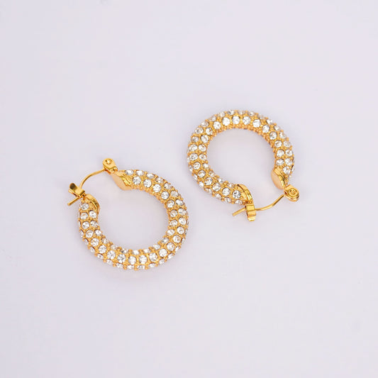 Luxe Elegant Stud Earrings